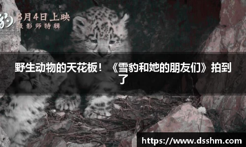 NG娱乐官网