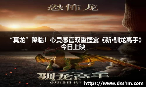 NG娱乐